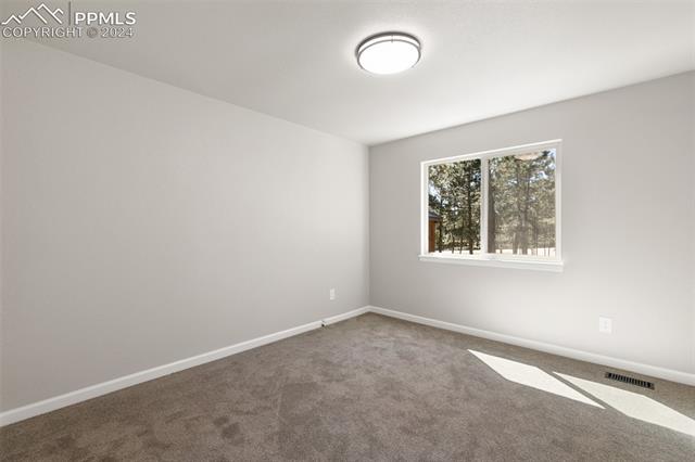 7220 McShane Road Colorado Springs, CO 80908 - Photo 26 of 41 Gallery Image 26