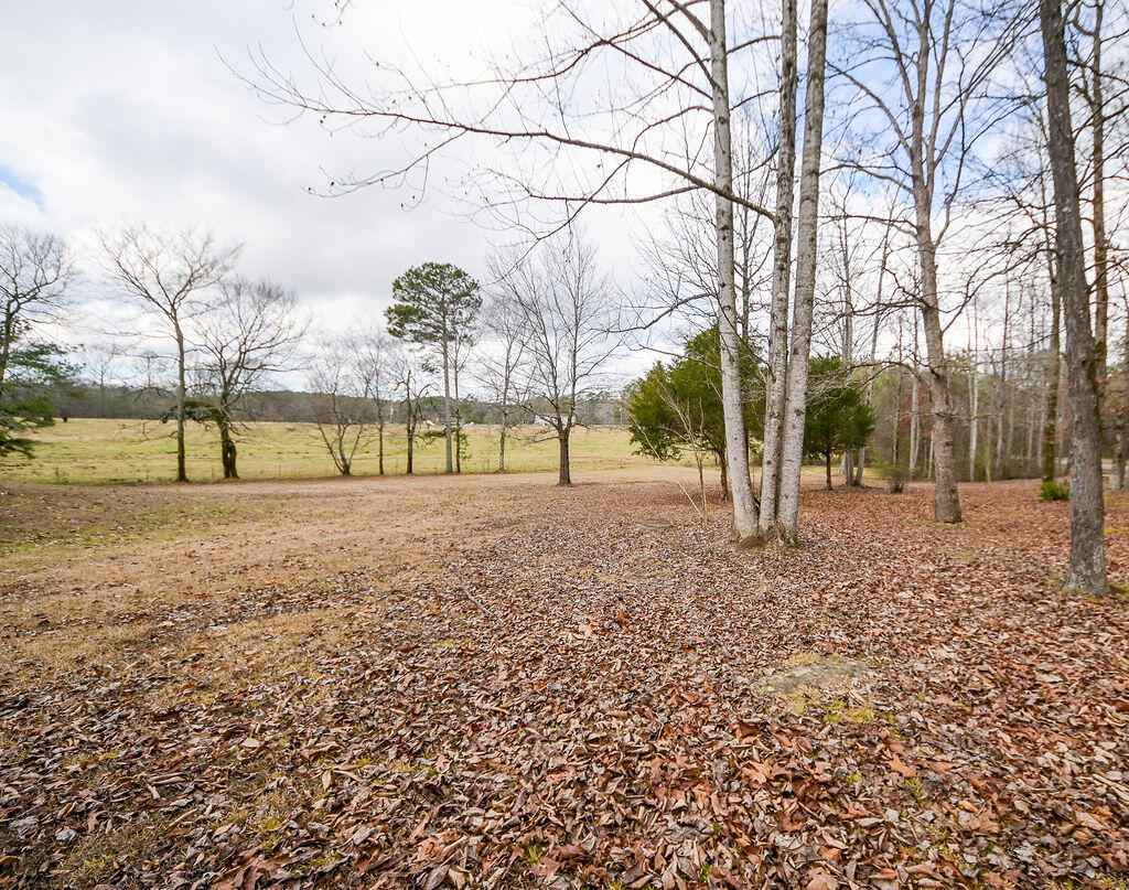 62 Peden Road Crandall, GA 30711 - Photo 33 of 37 DSC_1007