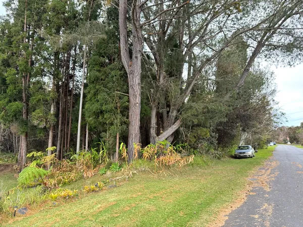 $99,500 | 26 Painiu Loop, Volcano, HI 96785
