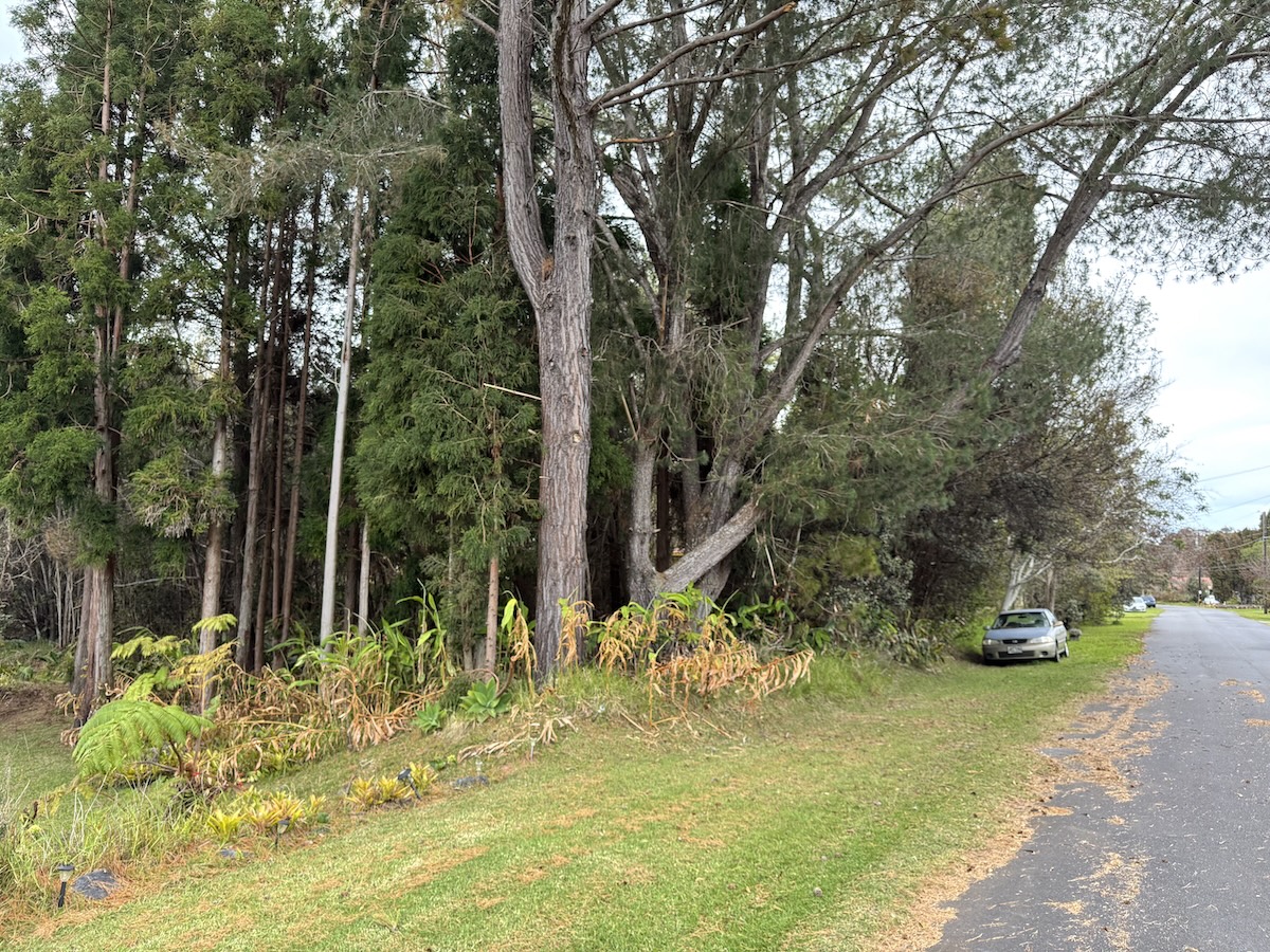 26 Painiu Loop Volcano, HI 96785 - Photo 1 of 9