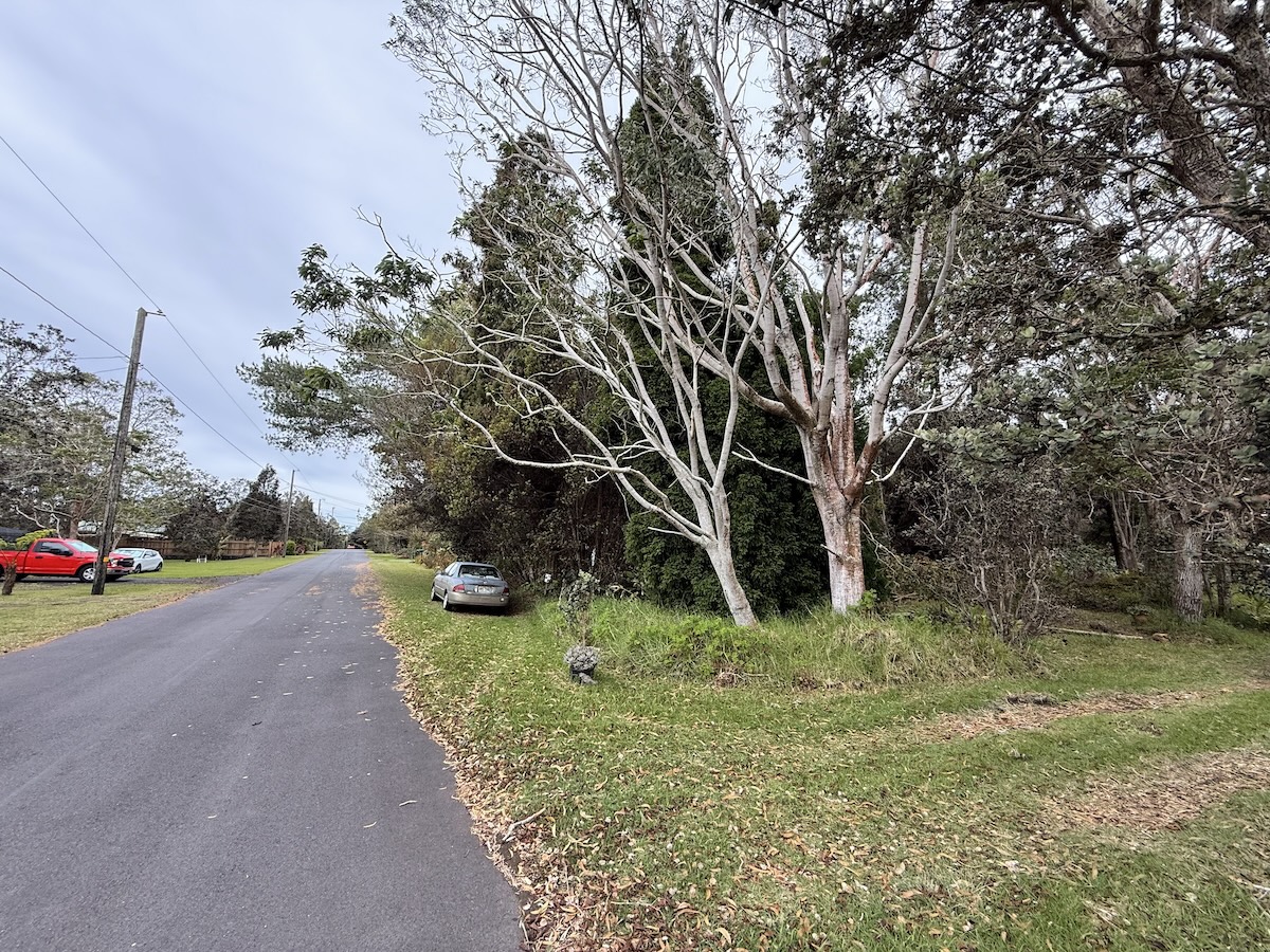 26 Painiu Loop Volcano, HI 96785 - Photo 3 of 9
