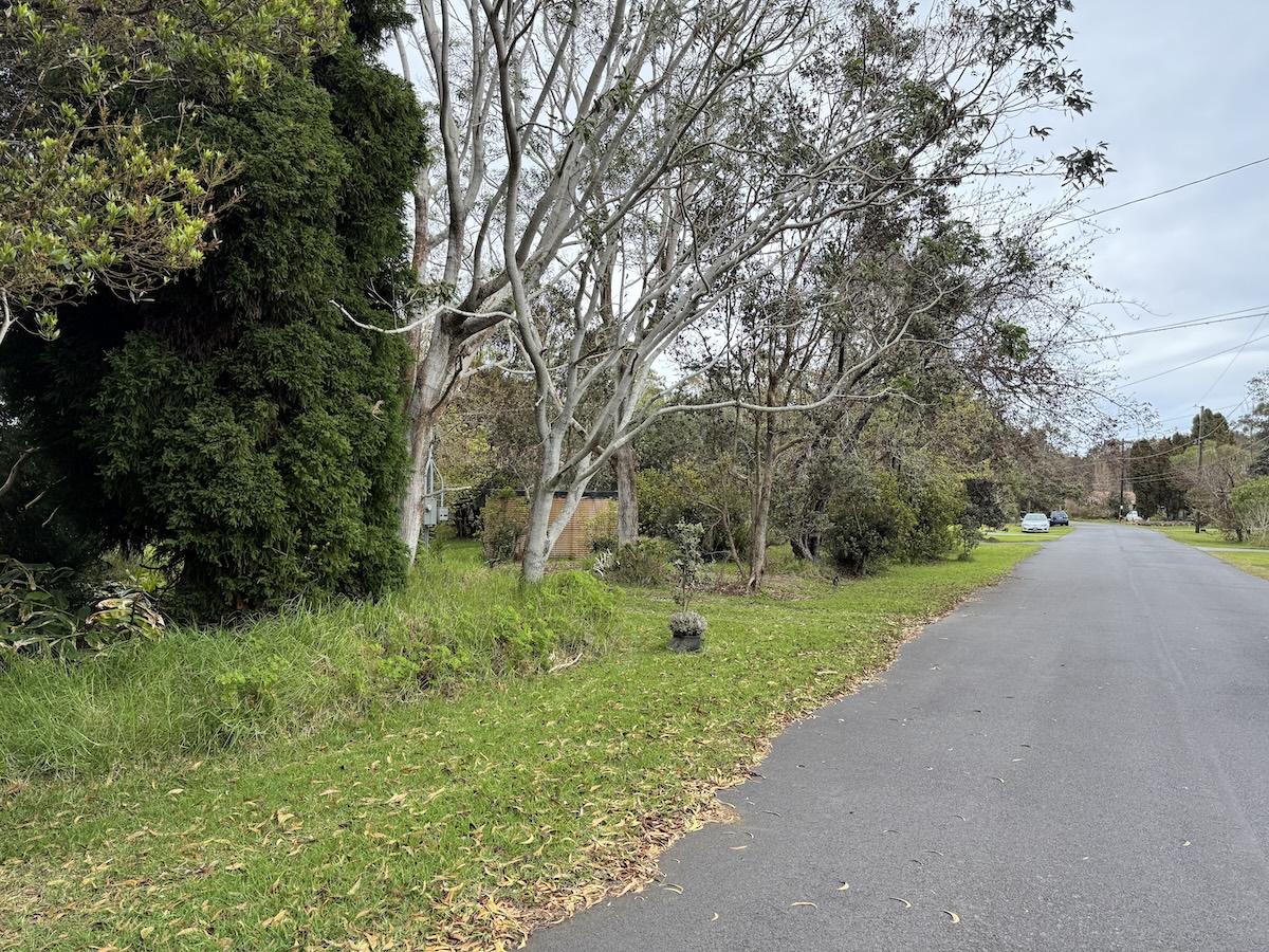 26 Painiu Loop Volcano, HI 96785 - Photo 4 of 9