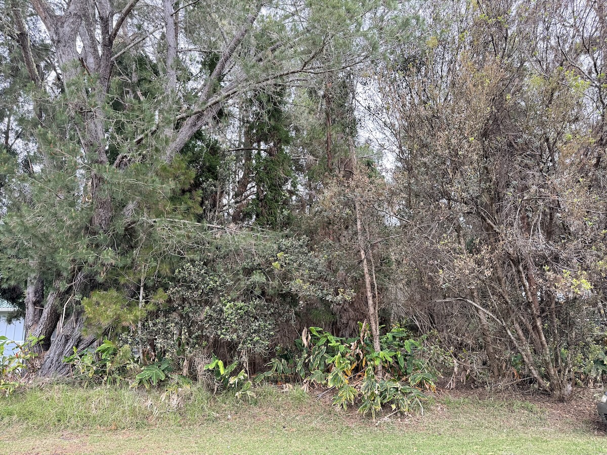 26 Painiu Loop Volcano, HI 96785 - Photo 7 of 9