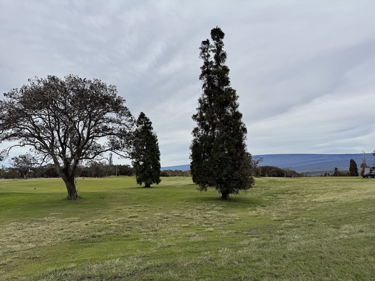 26 Painiu Loop Volcano, HI 96785 - Photo 9 of 9
