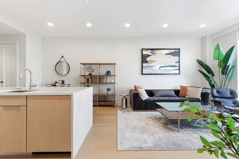 a living room with furniture and a potted plant