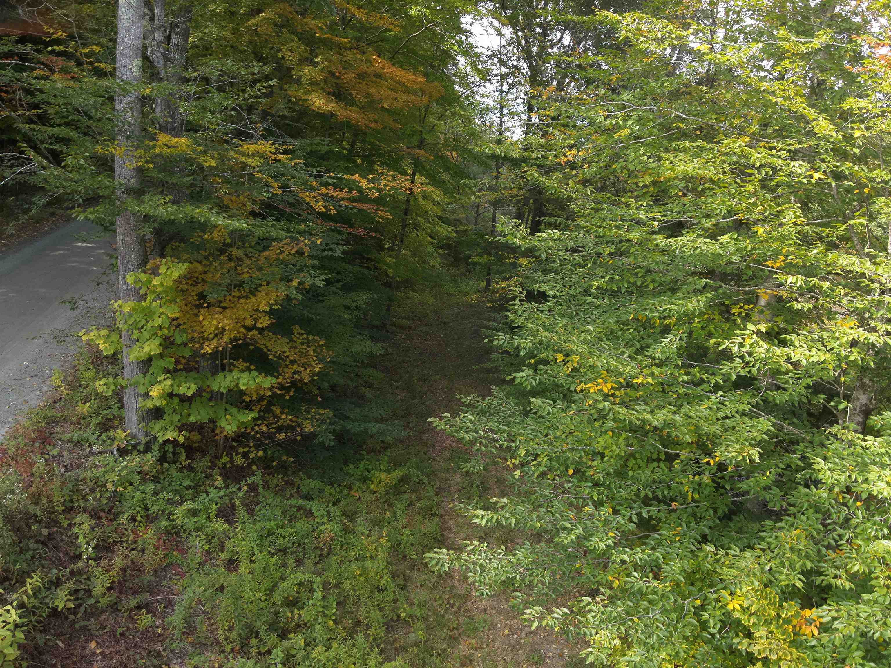 1297 River Road Jamaica, VT 05343 - Photo 19 of 22