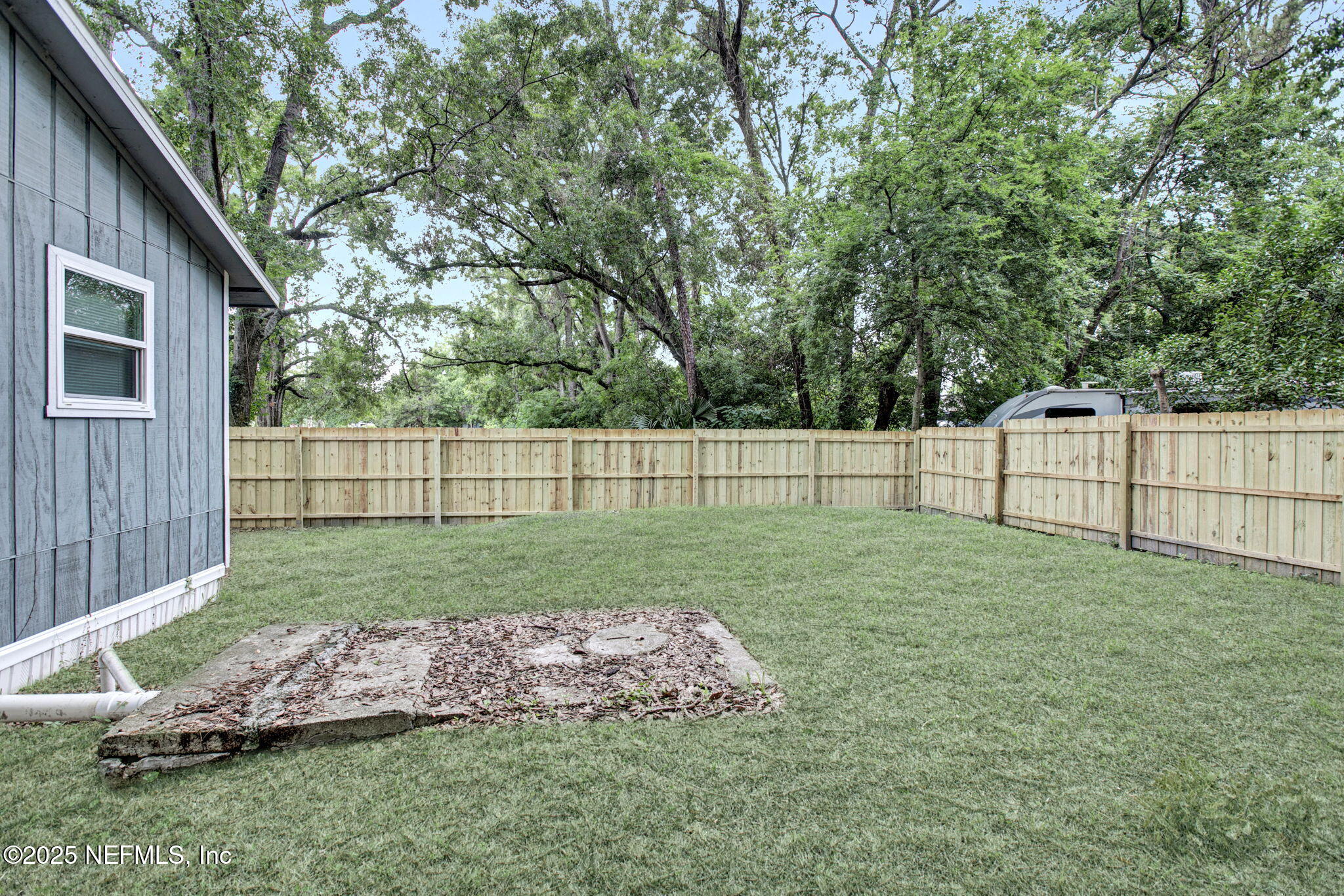 3645 Edison Avenue Jacksonville, FL 32254 - Photo 3 of 19 a view of backyard with green space