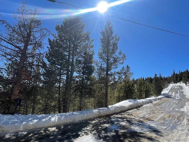 0 Alice Road Idaho Springs, CO 80452 - Photo 11 of 36