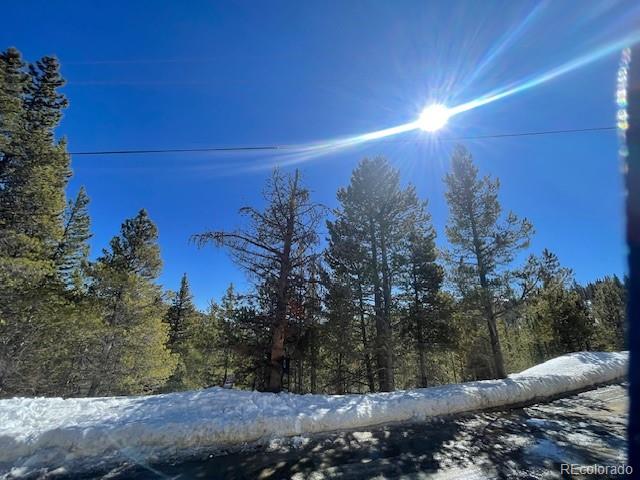 0 Alice Road Idaho Springs, CO 80452 - Photo 12 of 36