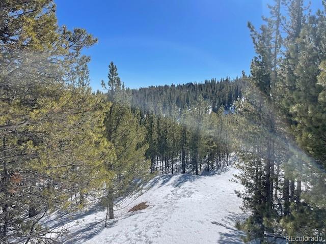 0 Alice Road Idaho Springs, CO 80452 - Photo 13 of 36