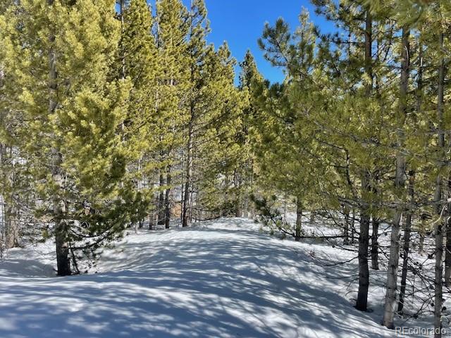 0 Alice Road Idaho Springs, CO 80452 - Photo 14 of 36