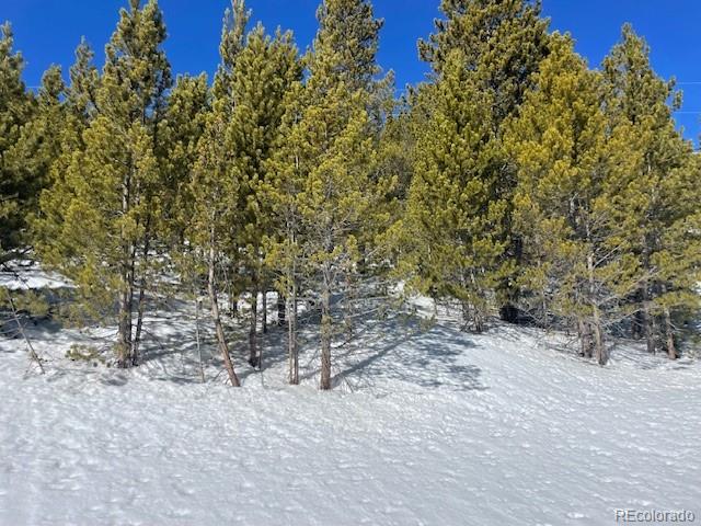 0 Alice Road Idaho Springs, CO 80452 - Photo 15 of 36