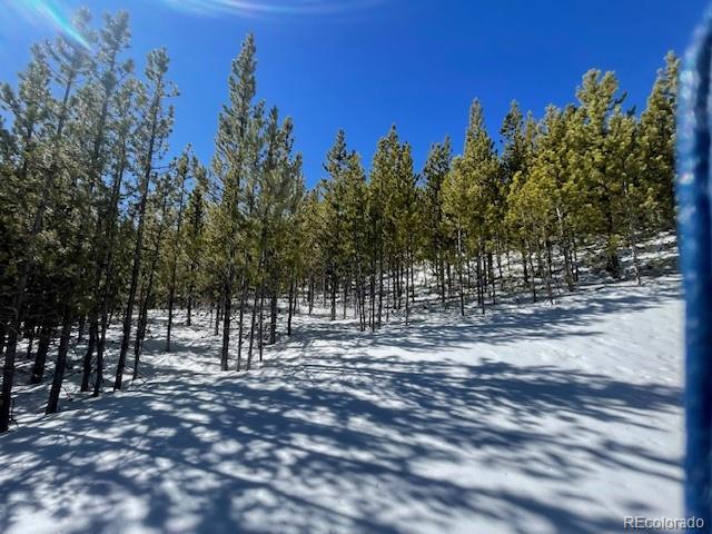 0 Alice Road Idaho Springs, CO 80452 - Photo 17 of 36