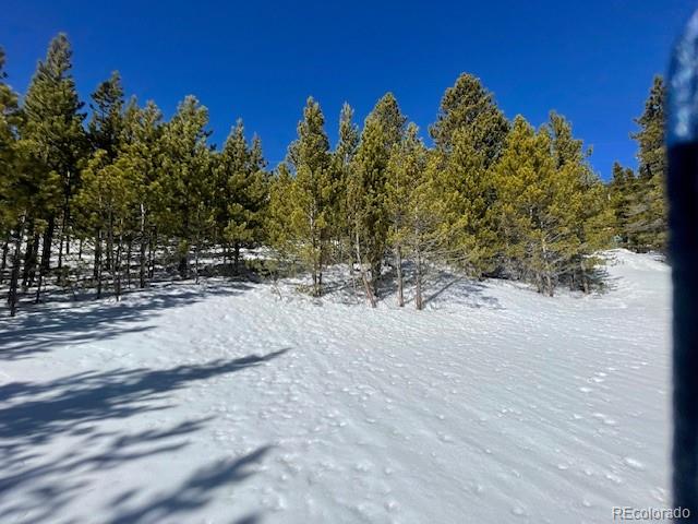0 Alice Road Idaho Springs, CO 80452 - Photo 18 of 36