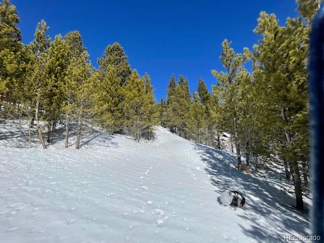0 Alice Road Idaho Springs, CO 80452 - Photo 19 of 36