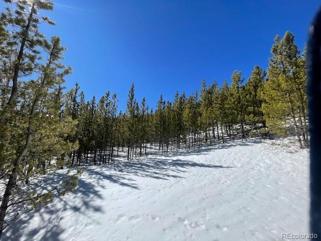 0 Alice Road Idaho Springs, CO 80452 - Photo 20 of 36