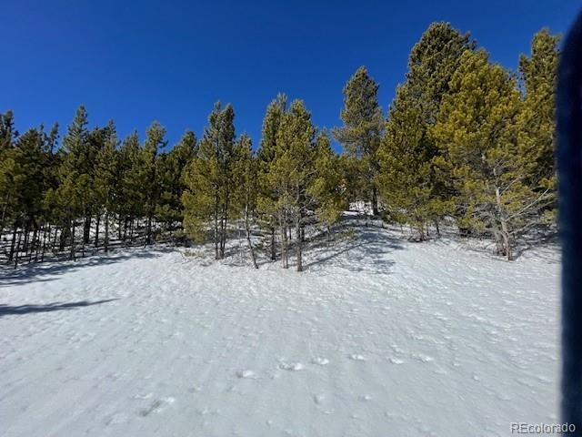 0 Alice Road Idaho Springs, CO 80452 - Photo 21 of 36