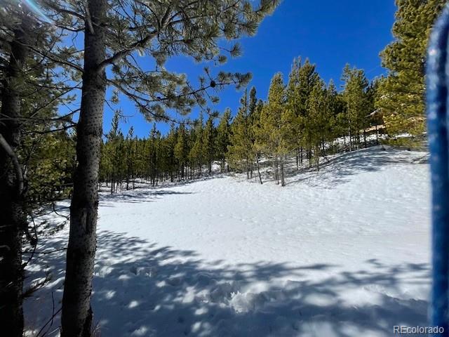 0 Alice Road Idaho Springs, CO 80452 - Photo 22 of 36