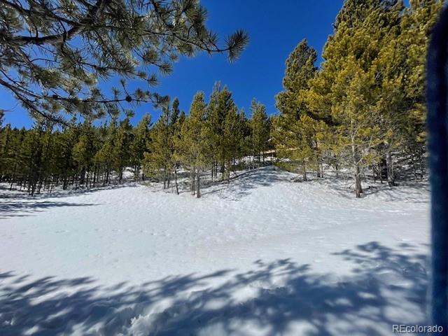 0 Alice Road Idaho Springs, CO 80452 - Photo 23 of 36