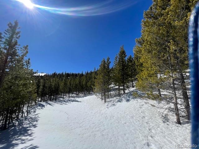 0 Alice Road Idaho Springs, CO 80452 - Photo 24 of 36