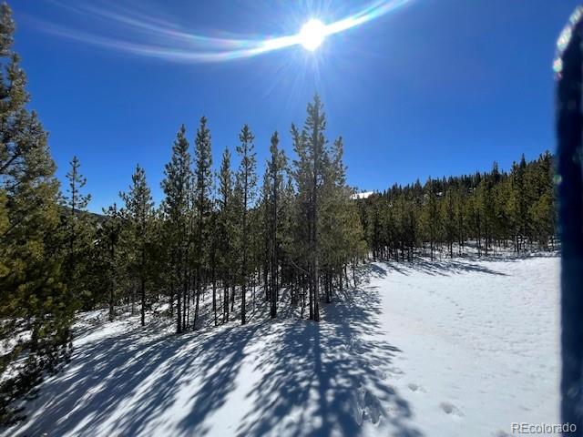 0 Alice Road Idaho Springs, CO 80452 - Photo 25 of 36