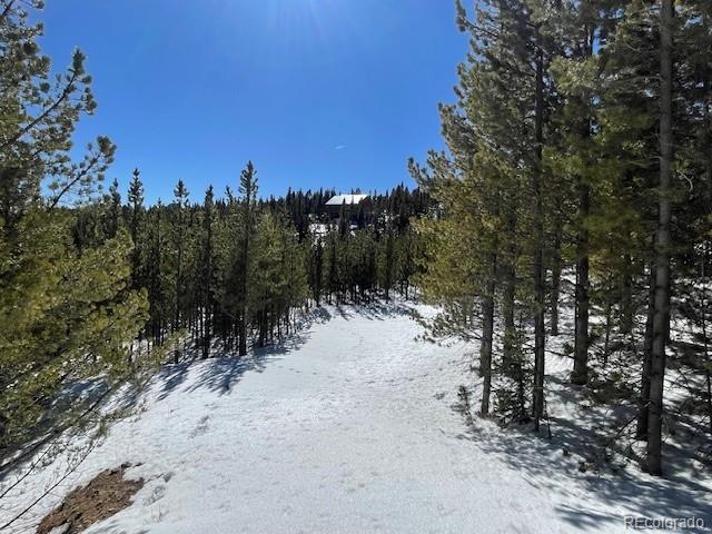 0 Alice Road Idaho Springs, CO 80452 - Photo 26 of 36