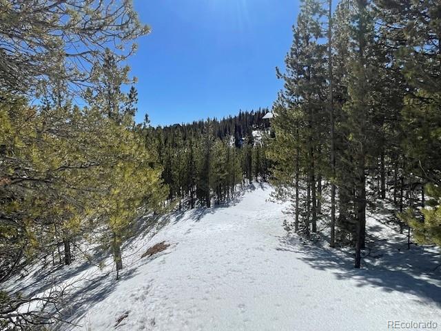 0 Alice Road Idaho Springs, CO 80452 - Photo 27 of 36