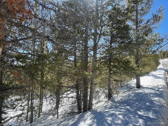 0 Alice Road Idaho Springs, CO 80452 - Photo 28 of 36