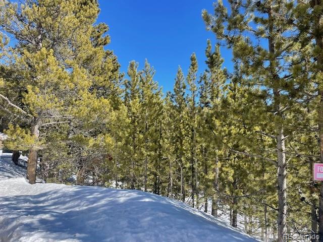 0 Alice Road Idaho Springs, CO 80452 - Photo 30 of 36