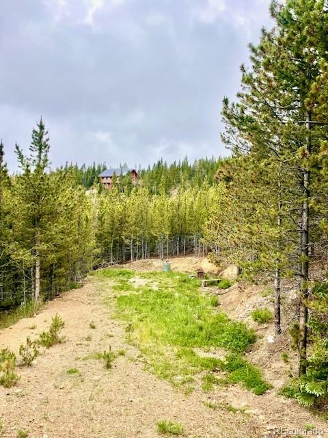 0 Alice Road Idaho Springs, CO 80452 - Photo 3 of 36