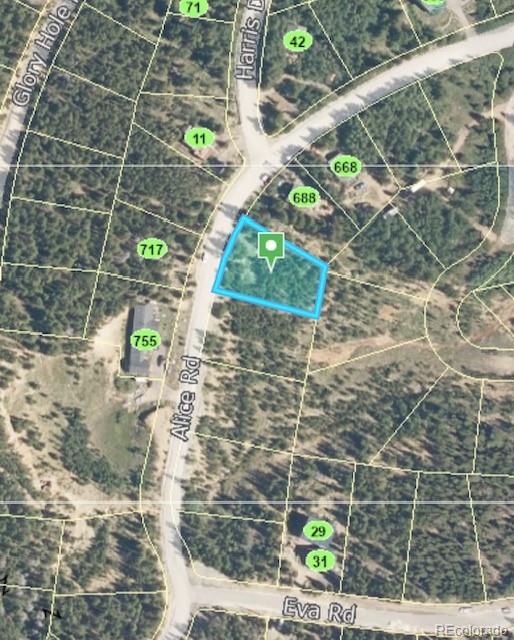 0 Alice Road Idaho Springs, CO 80452 - Photo 31 of 36