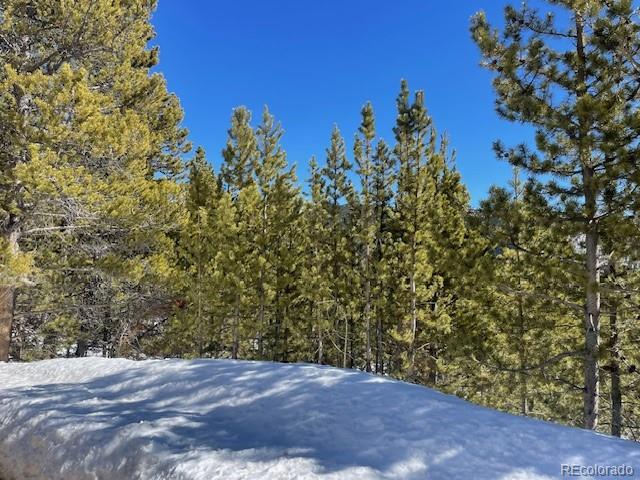 0 Alice Road Idaho Springs, CO 80452 - Photo 32 of 36