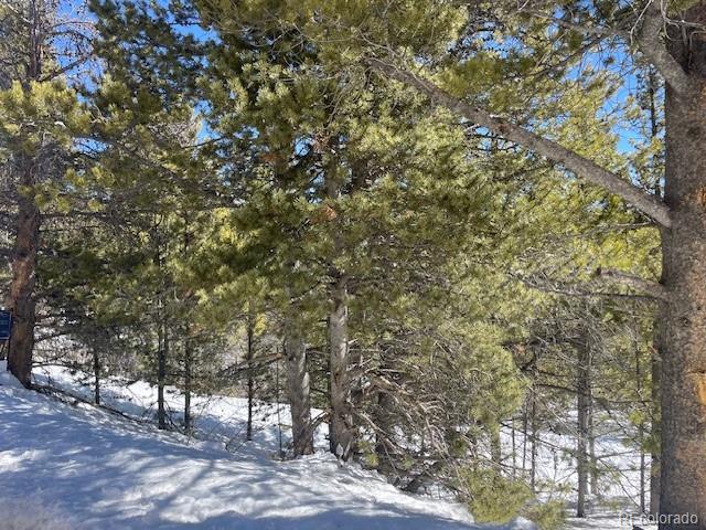 0 Alice Road Idaho Springs, CO 80452 - Photo 33 of 36