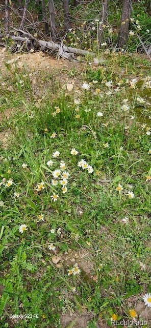 0 Alice Road Idaho Springs, CO 80452 - Photo 34 of 36