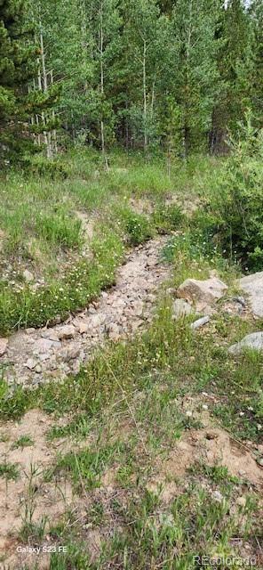 0 Alice Road Idaho Springs, CO 80452 - Photo 36 of 36