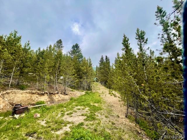 0 Alice Road Idaho Springs, CO 80452 - Photo 5 of 36