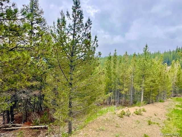 0 Alice Road Idaho Springs, CO 80452 - Photo 6 of 36