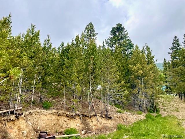 0 Alice Road Idaho Springs, CO 80452 - Photo 7 of 36