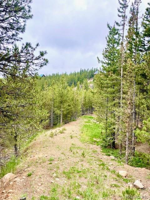0 Alice Road Idaho Springs, CO 80452 - Photo 8 of 36