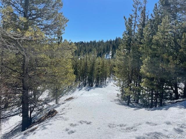 0 Alice Road Idaho Springs, CO 80452 - Photo 10 of 36