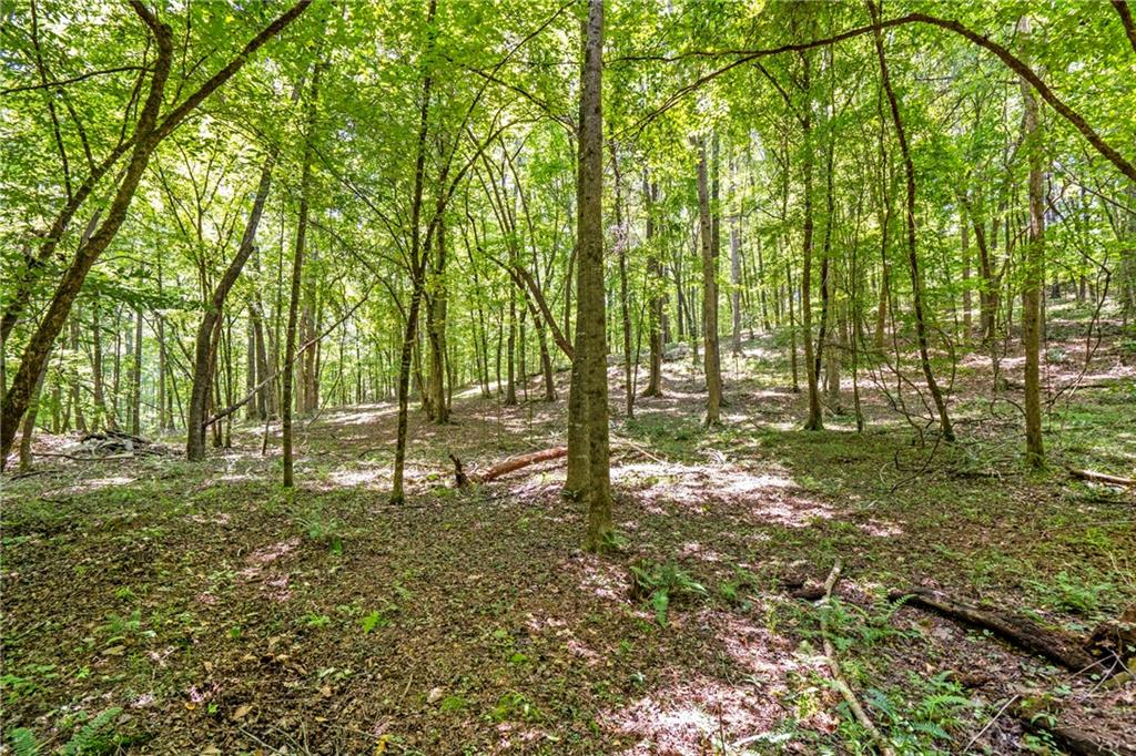 533 Mulberry Road Winder, GA 30680 - Photo 27 of 30