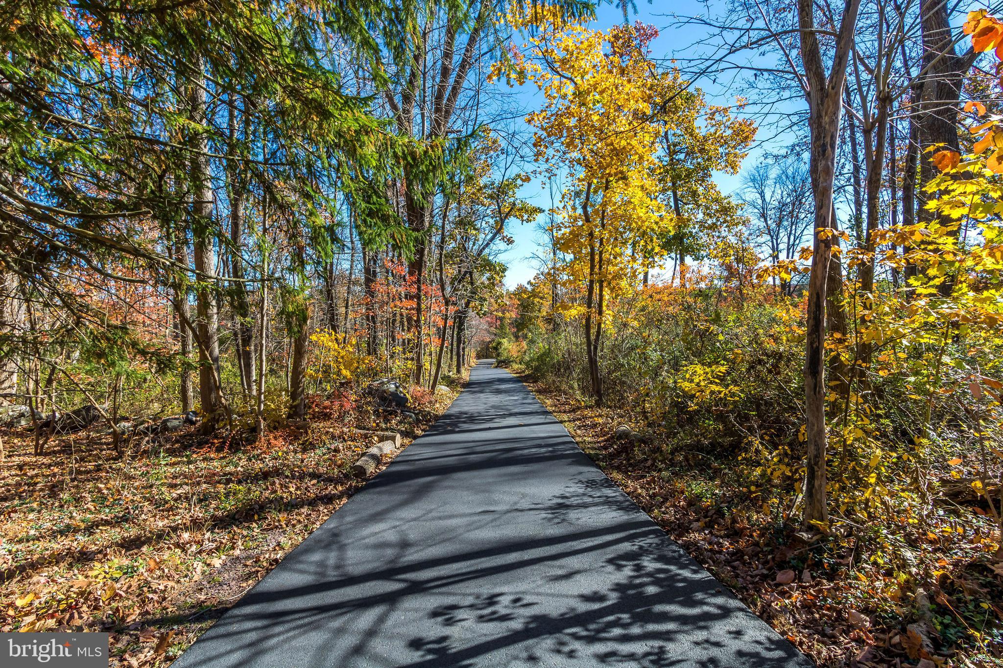 1710 West Rock Road Perkasie, PA 18944 - Photo 3 of 56 Long, paved, tree lined driveway