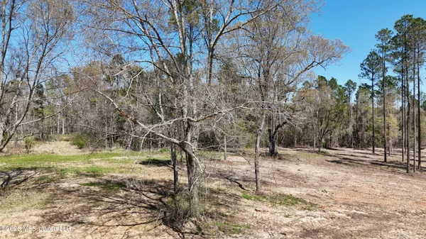 $98,900 | Nhn Nhn Yankee Road, Lucedale, MS 39452