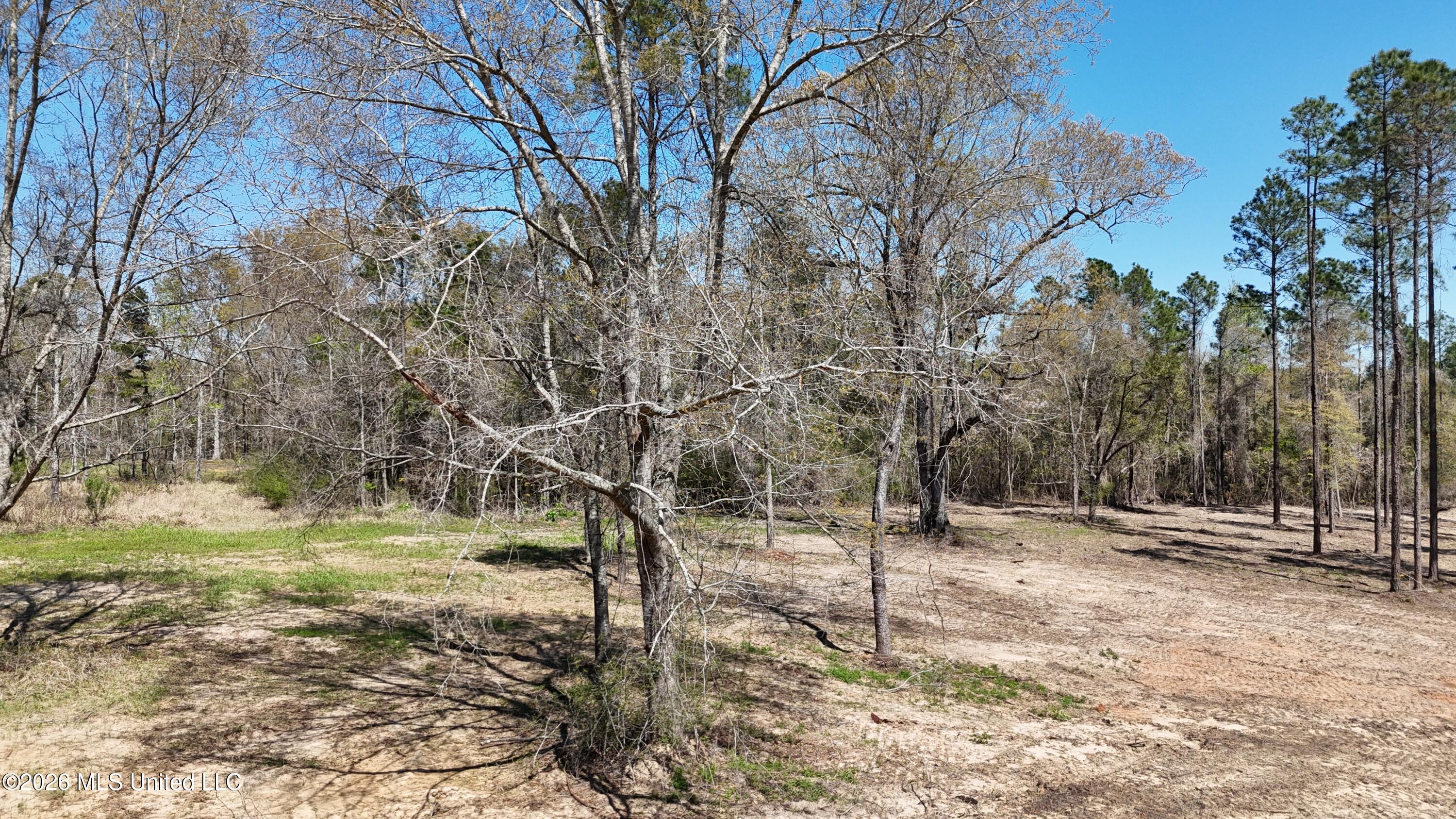 Nhn Nhn Yankee Road Lucedale, MS 39452 - Photo 11 of 15 dji_fly_20260320_133116_0074_17746267514