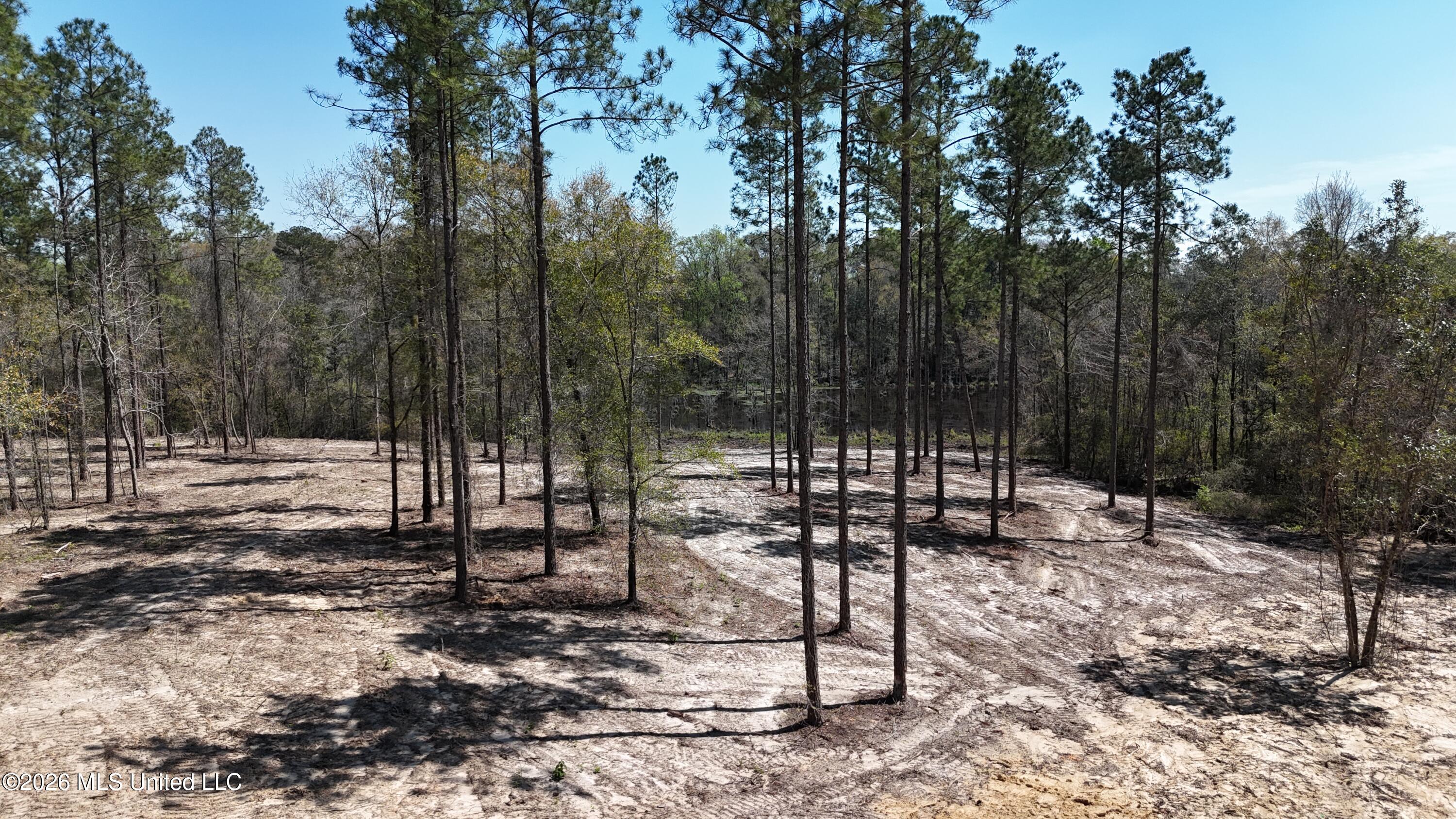 Nhn Nhn Yankee Road Lucedale, MS 39452 - Photo 12 of 15 dji_fly_20260320_133138_0075_17746267509