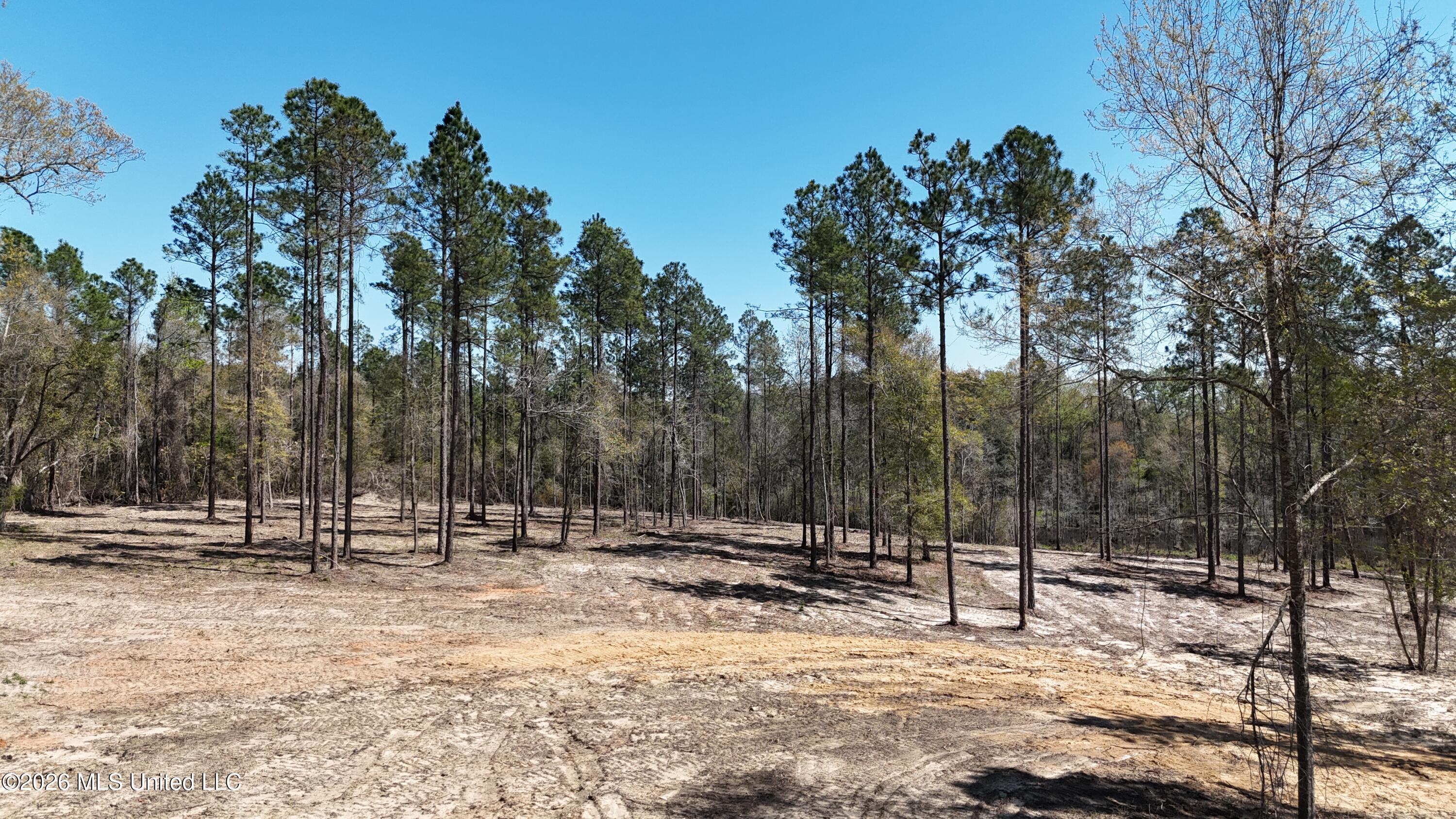 Nhn Nhn Yankee Road Lucedale, MS 39452 - Photo 13 of 15 dji_fly_20260320_133110_0073_17746267517