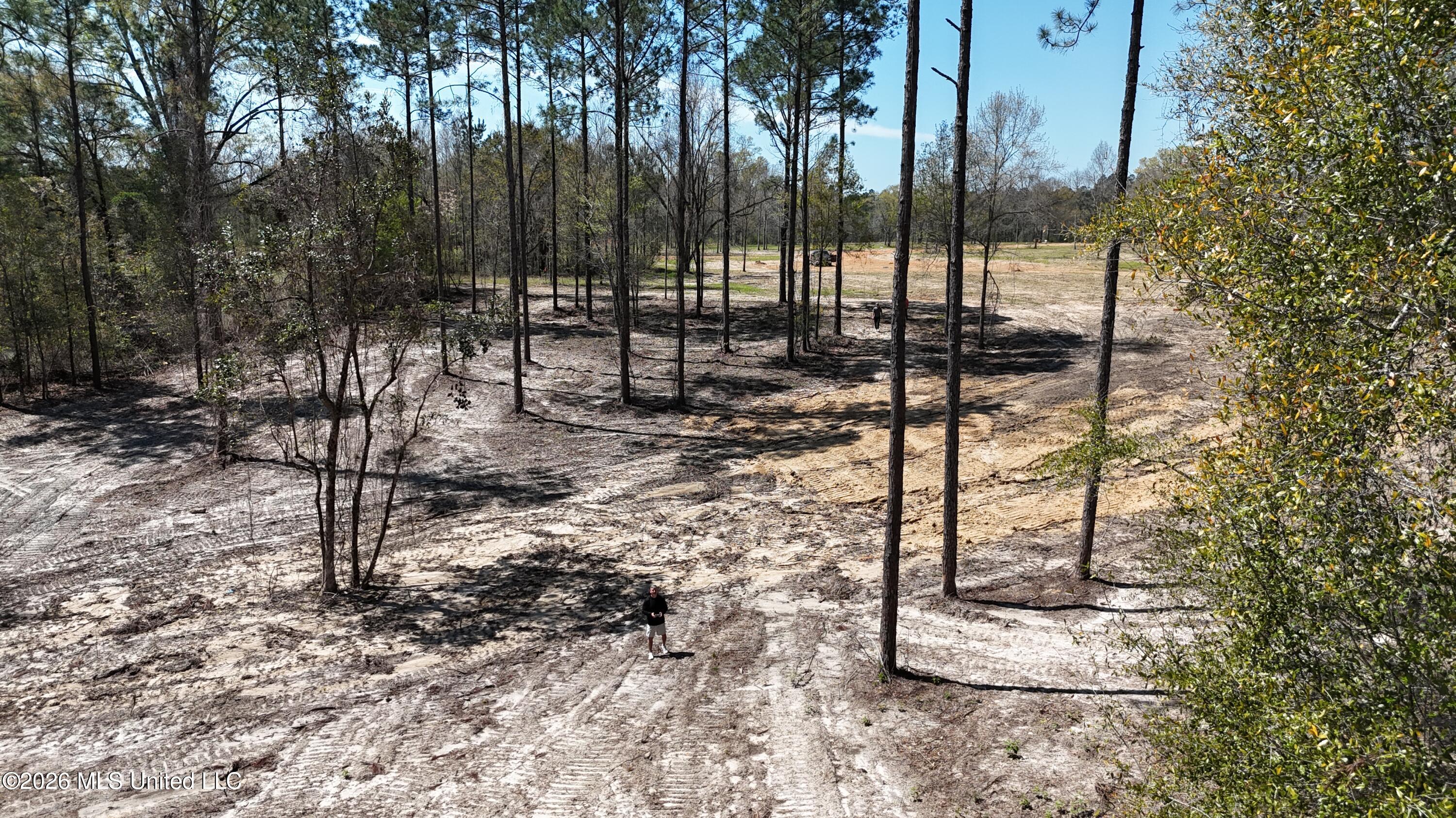 Nhn Nhn Yankee Road Lucedale, MS 39452 - Photo 2 of 15 dji_fly_20260320_133550_0089_17746267469