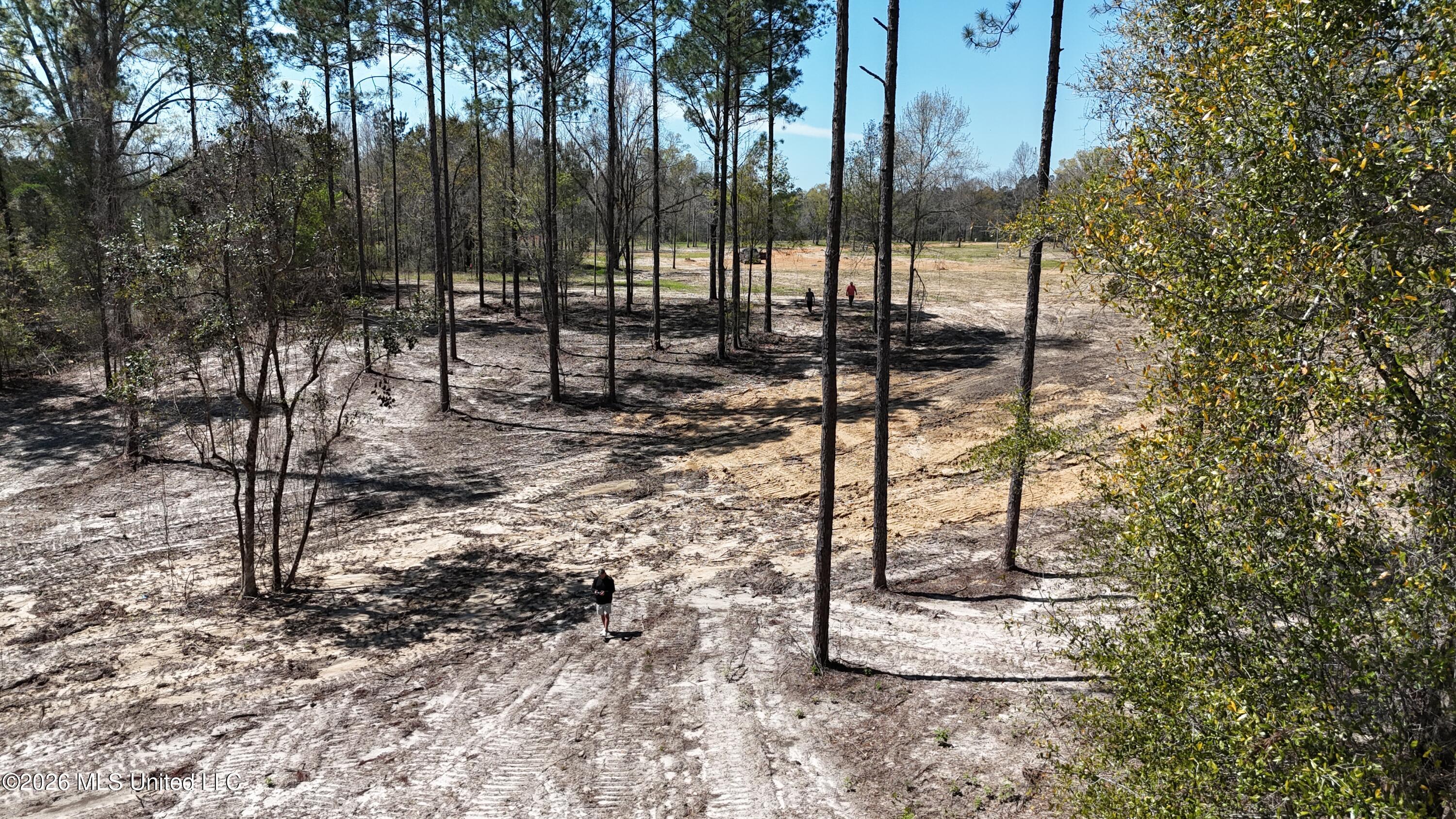 Nhn Nhn Yankee Road Lucedale, MS 39452 - Photo 3 of 15 dji_fly_20260320_133546_0088_17746267476