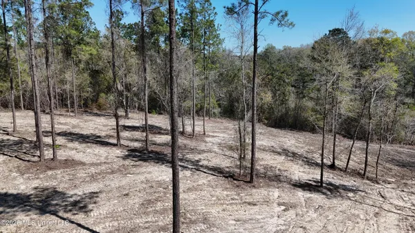 $98,900 | Nhn Nhn Yankee Road, Lucedale, MS 39452