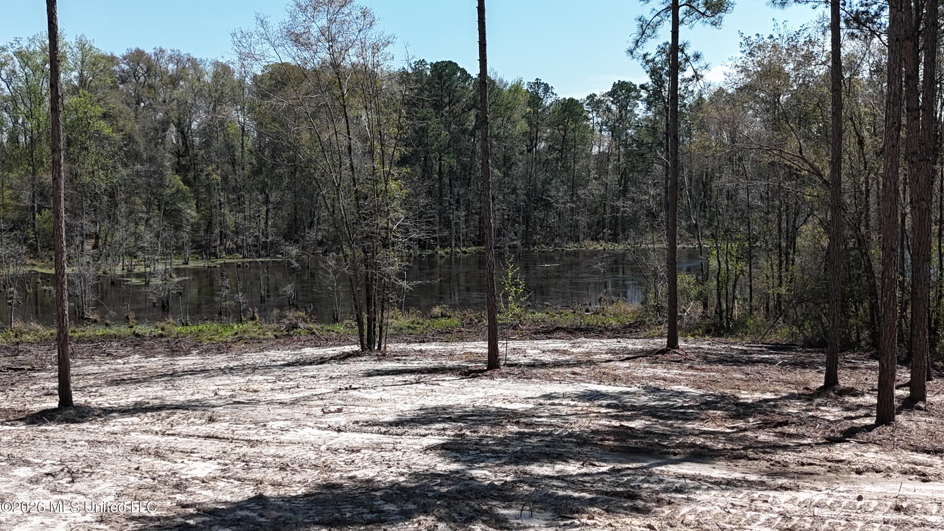 Nhn Nhn Yankee Road Lucedale, MS 39452 - Photo 5 of 15 dji_fly_20260320_133638_0092_17746267464